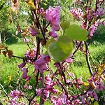 La Cour Cachée Hébergement de vacances
